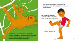 Plantas