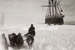 Polo Sur - Roald Amundsen