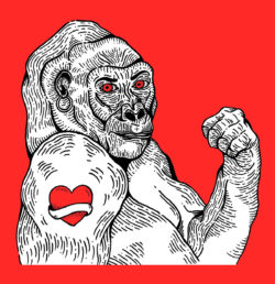 Despentes, Virginie. Teoría King Kong