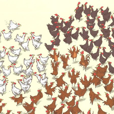 Cardon, Laurent La Unió fa la força : una història de gallines