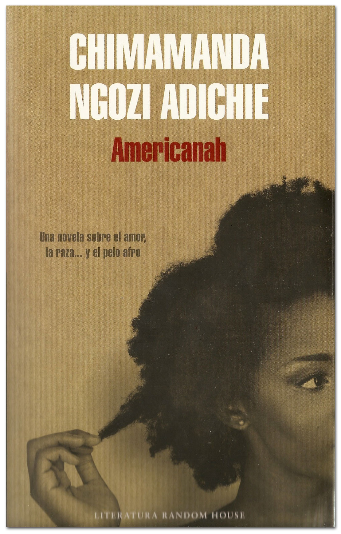 Americanah - Chimanda Ngozi Adiche
