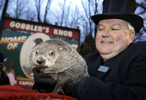 Phil, la marmota de Punxsutawney