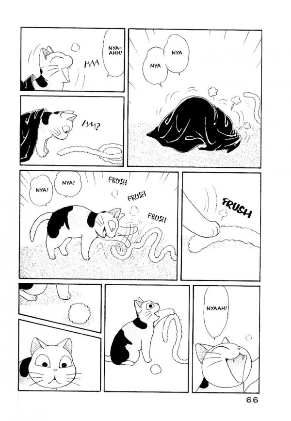 Kanata, Konami La abuela y su gato gordo