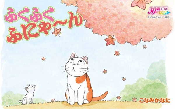 La-abuela-y-su-gato-gordo-800x500