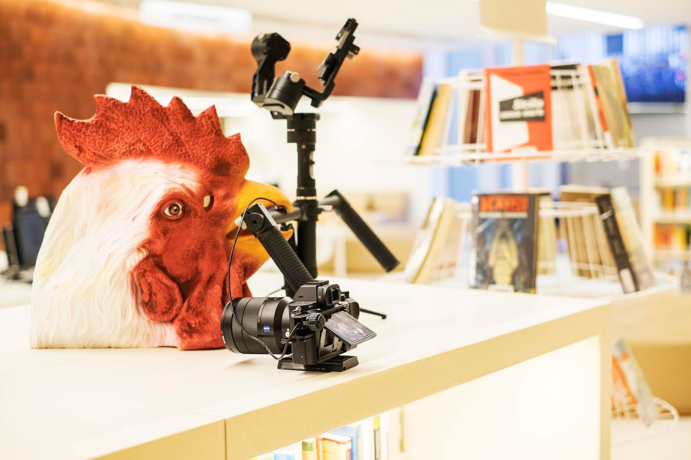 Bibliocurts