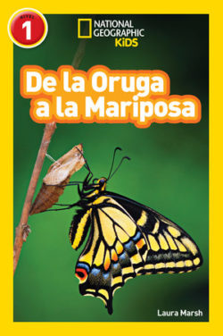 De oruga a mariposa Marsh, Laura