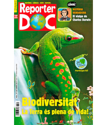 Reporter Doc