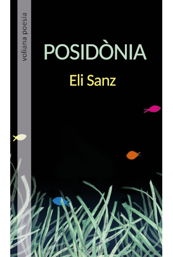 Coberta de Posidònia