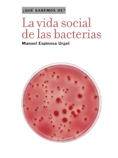 vidasocialbacterias