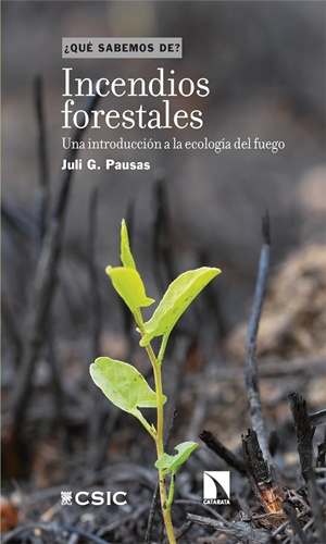 pausas