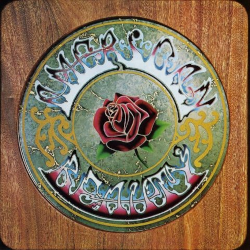 Caràtula de American beauty