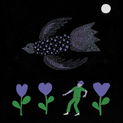 Caràtula de The Purple bird