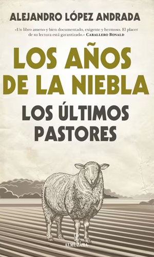 años niebla