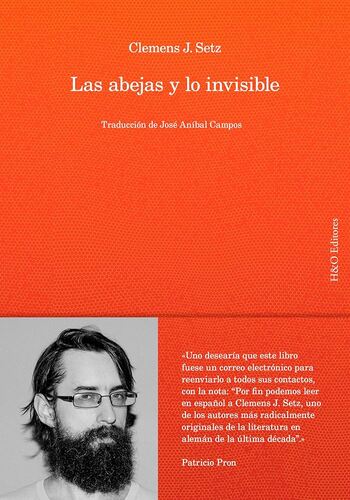 Las-abejas-y-lo-invisible