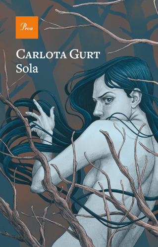 Coberta de sola