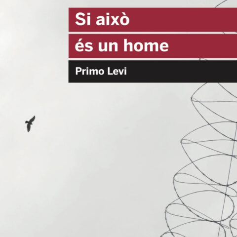 Coberta de Si això és un home, de Primo Levi