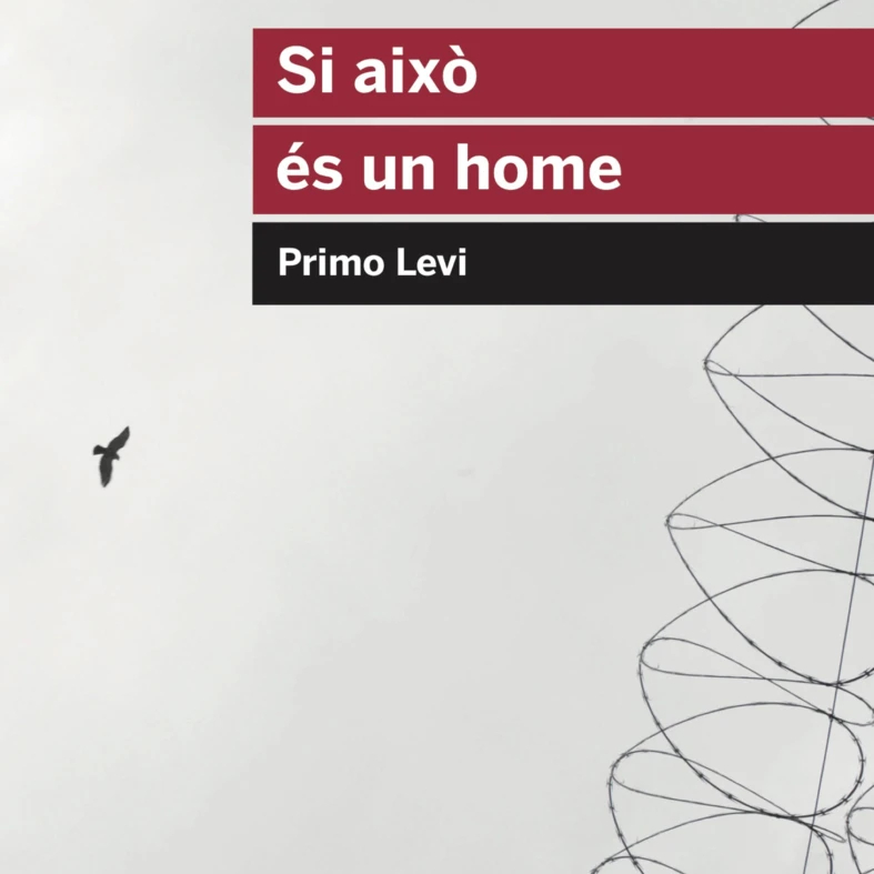 Coberta de Si això és un home, de Primo Levi