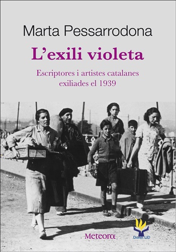 ExiliVioletaCAT10cm1
