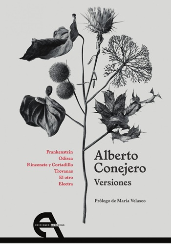 Versiones