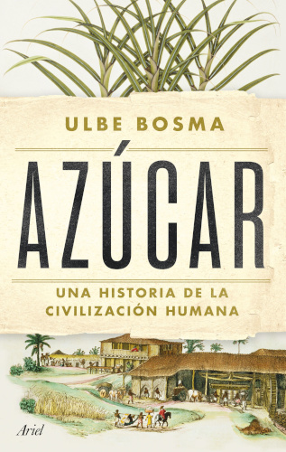 500_azucar_bosma