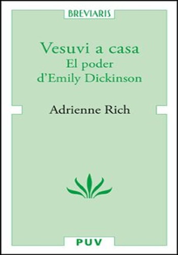 Vesuvy a casa
